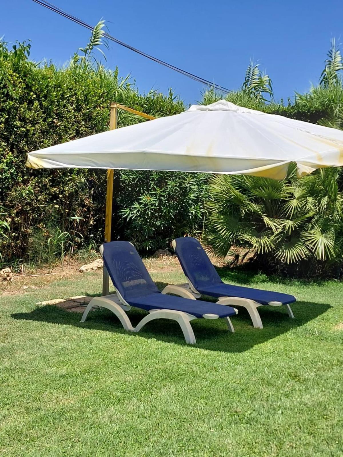 Cozy Studio - Monolocale - Fiumicino Aeroporto E Fiera - Self Check-In 外观 照片